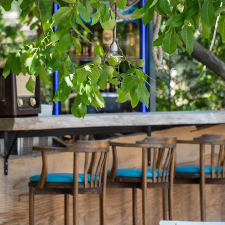 Cunda Selina * Istanbul